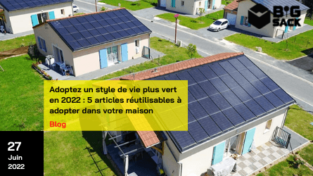 Big Sack green lifestyle reusable items at home