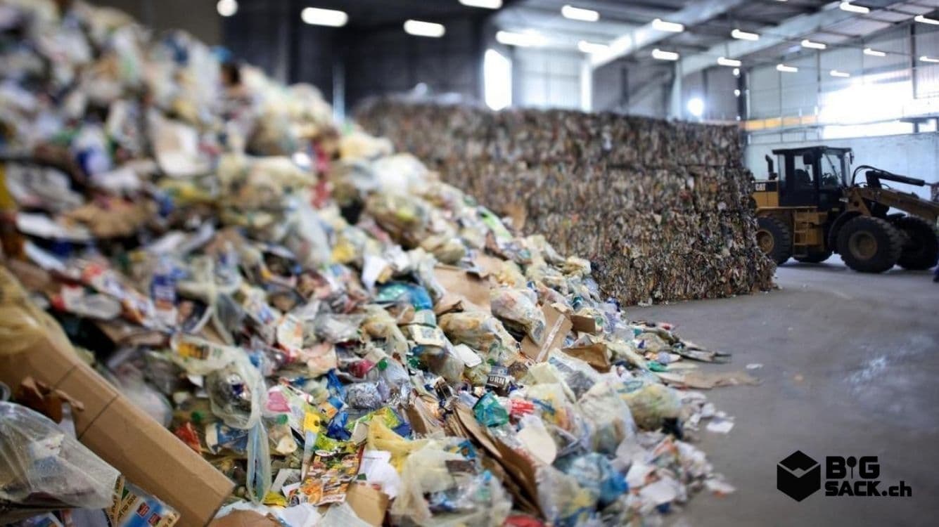 Big Sack growing waste ecosystem article